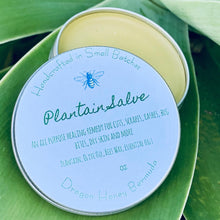 Load image into Gallery viewer, All Natural Healing (Plantain) Salve
